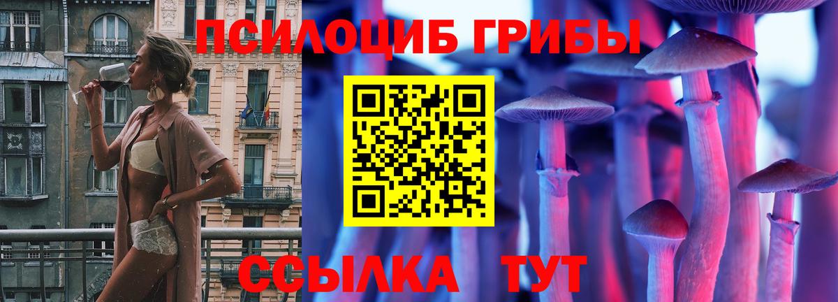 Псилоцибиновые грибы Psilocybine cubensis Воткинск