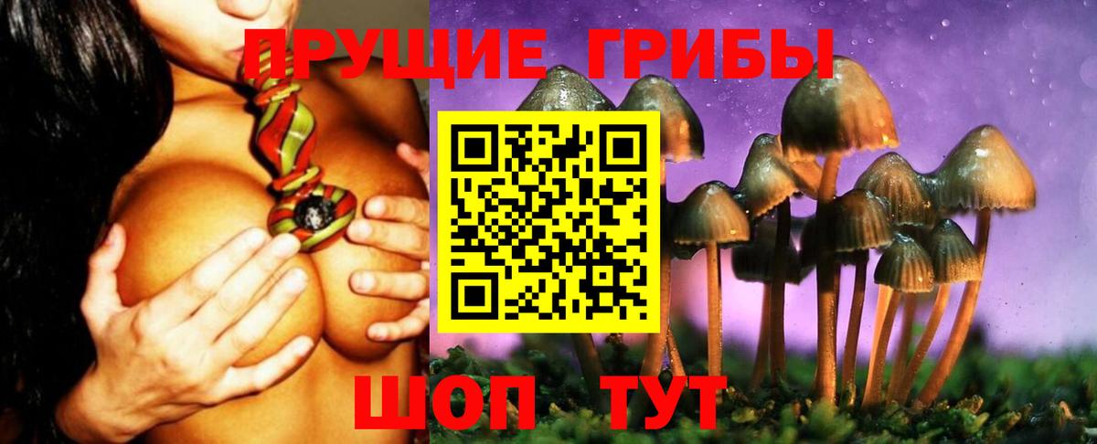 Галлюциногенные грибы Cubensis  Галлюциногенные грибы Psilocybine cubensis  Вход с VPN  цена   Воткинск 